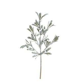 Kvist Cypress Bär 51 cm