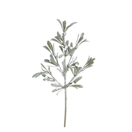 Kvist Cypress Bär 51 cm