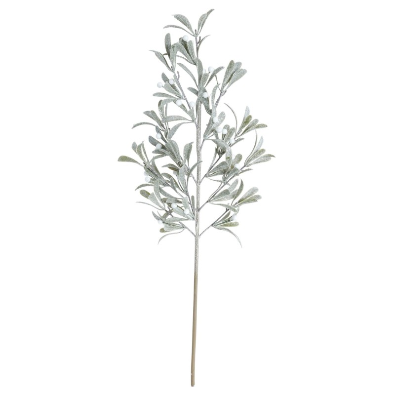 Kvist Cypress Bär 71 cm Kvist Cypress Bär 71 cm