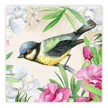 Servetter Talgoxe blomma 33x33cm 20-pack