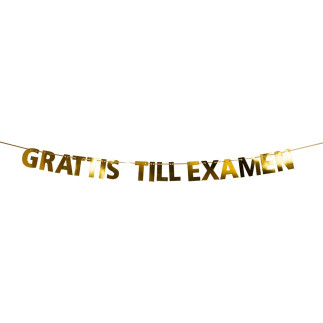 Banner Examen Vimpel 3,6 m
