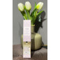 Doftpinnar Exotic Wood 50 ml