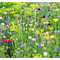 Doftolja Sommarblom 10 ml