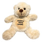 Nalle Världens bästa kompis Beige 20 cm