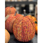 Pumpa Orange 20 cm