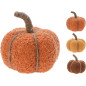 Pumpa Brunröd 13 cm
