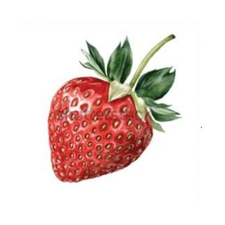 Disktrasa Diskduk Jordgubbe