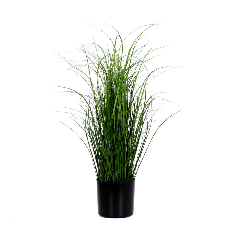 Dekorationsgräs i kruka H55 cm Dekorationsgräs i kruka H55 cm