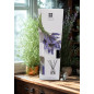 Doftpinnar Lavender 100 ml Doftpinnar Lavender 100 ml