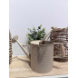 Vattenkanna Beige Metall 18 cm Vattenkanna Beige Metall 18 cm