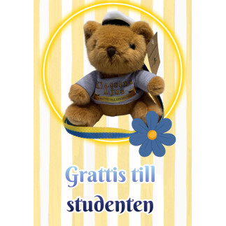 Student Nalle Brun "Pure Genius" 15 cm