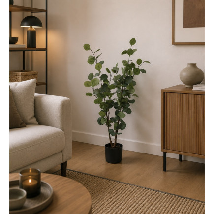 Eukalyptus Träd 95 cm