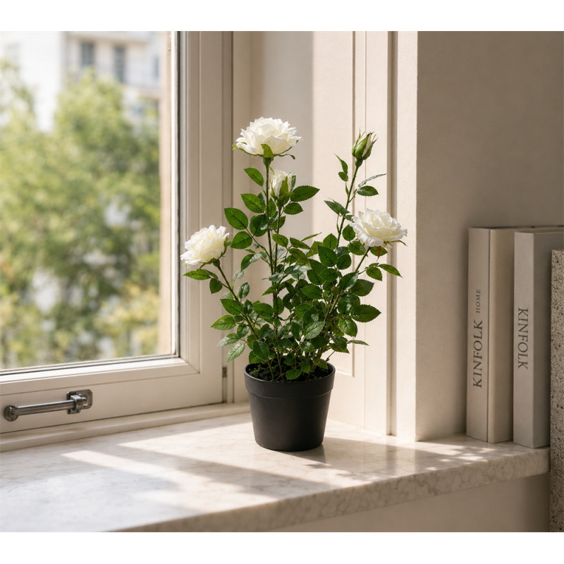 Ros i kruka Vit 41 cm
