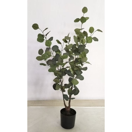 Eukalyptus Träd 95 cm