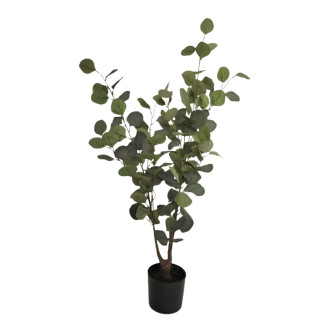 Eukalyptus Träd 95 cm
