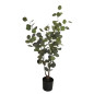 Eukalyptus Träd 95 cm Eukalyptus Träd 95 cm