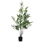 Olivträd Oliv Träd 120 cm