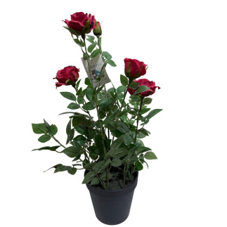 Ros i kruka Röd 41 cm
