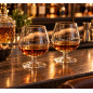 Cognacglas Konjak 37 cl 4-pack
