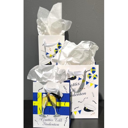 Presentpåse Student Flaska 35x12 cm 2-pack