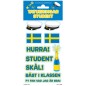 Tatuering Student Tillfällig