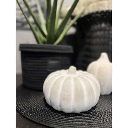 Pumpa Grå Cement 15 cm